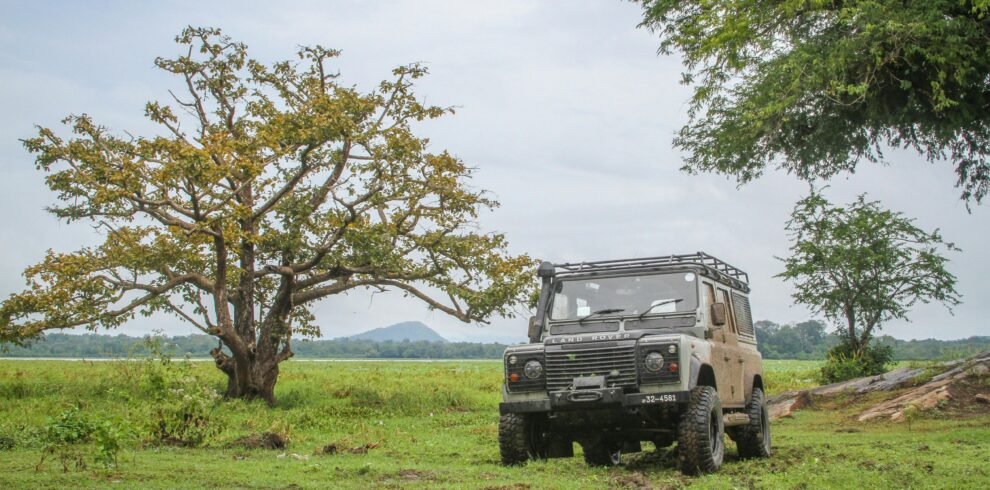 pexels-naveen-3885421-5780322